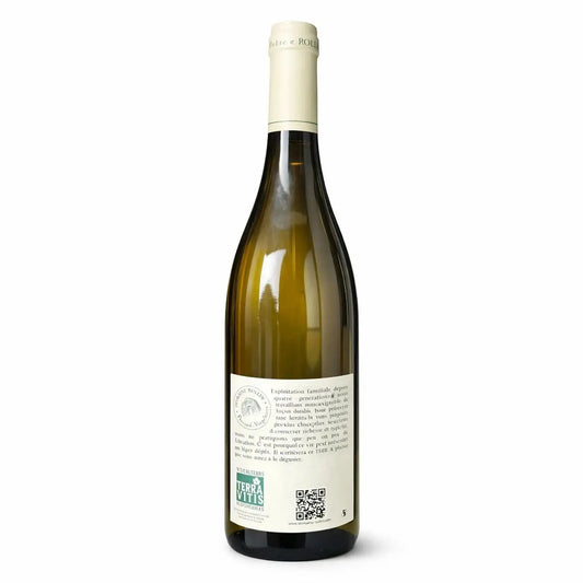ROLLIN Père et Fils - Pernand-Vergelesses "Les Cloux" - 2024 75cl Rollin Père et Fils
