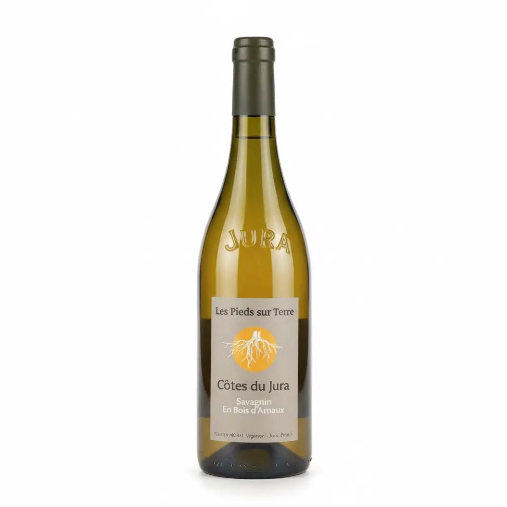 Valentin Morel - Les Pieds sur Terre - "Savignin En Bois de d'Arnaud" Valentin Morel