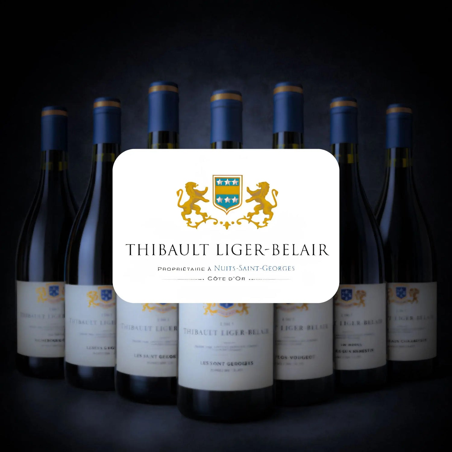 Thibault-Liger-Belair Wine Gallery