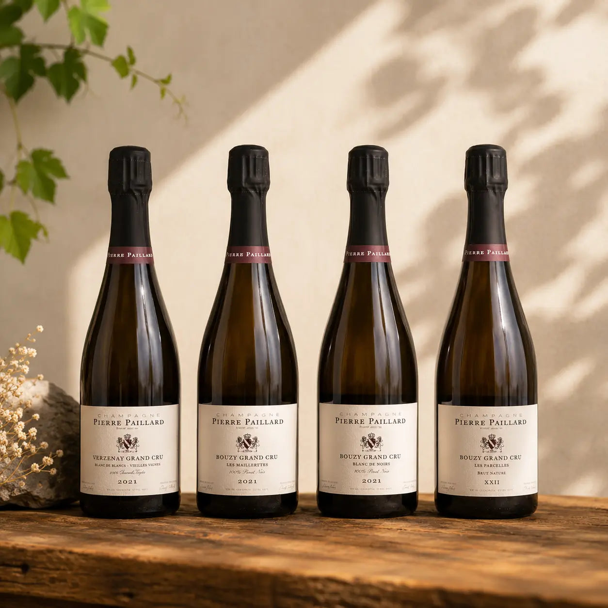 Champagne-Pierre-Paillard Wine Gallery
