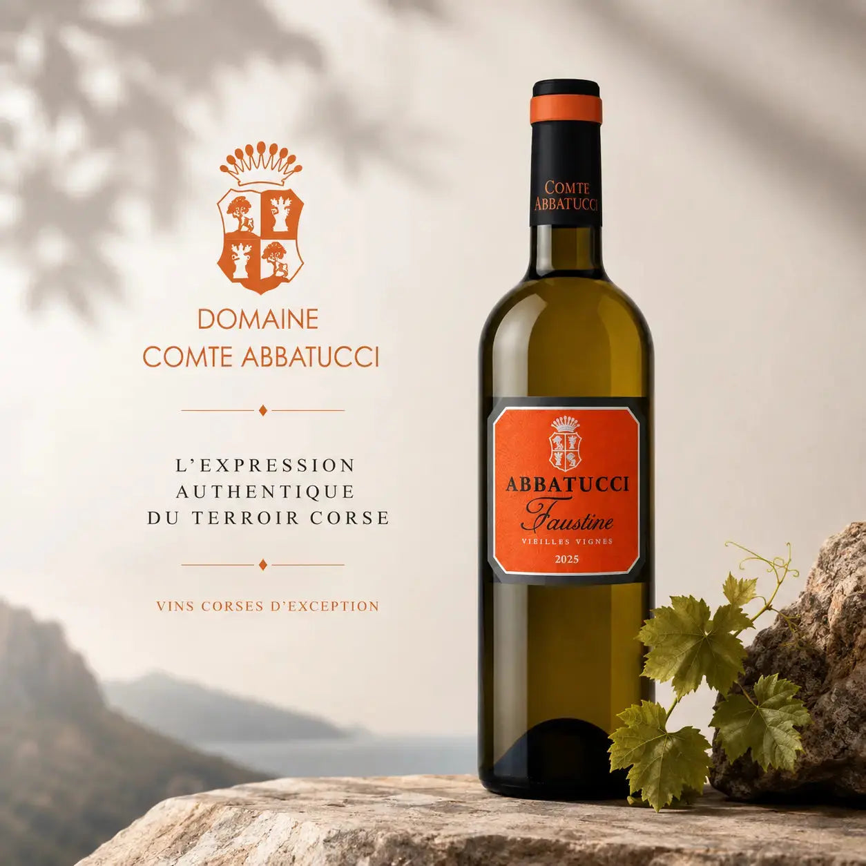 Comte-Abbatucci Wine Gallery